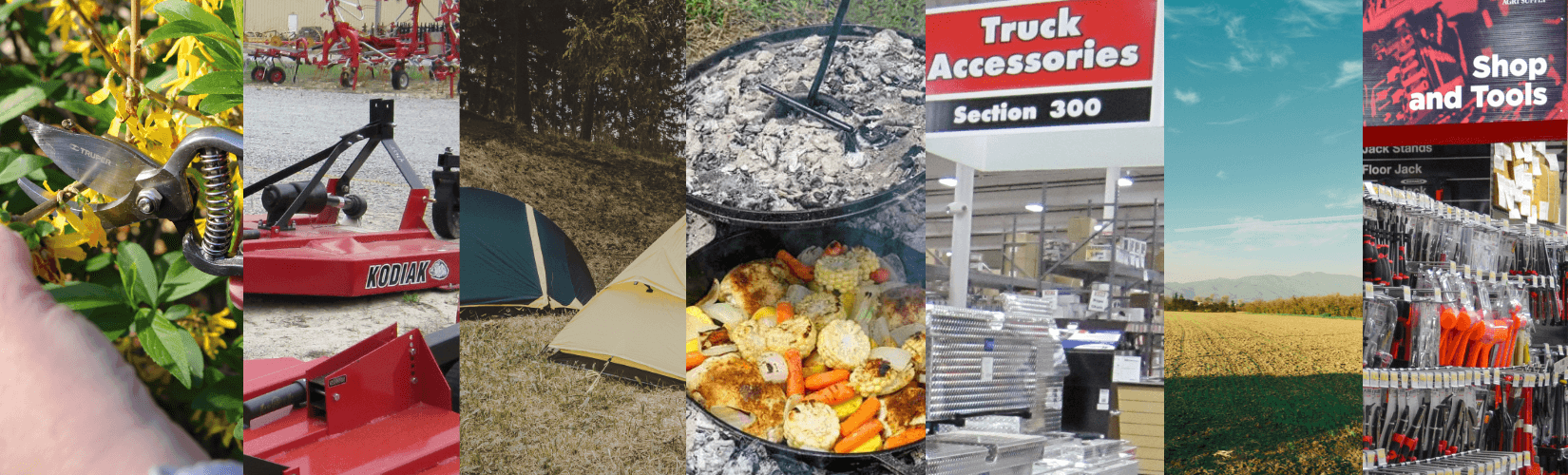 All Blog Posts Image